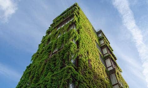Green Building Practices and Sustainability