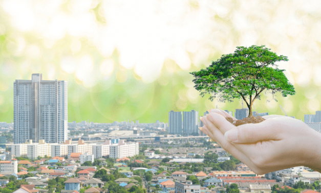 Sustainovation: Revolutionizing Construction with Green Practices